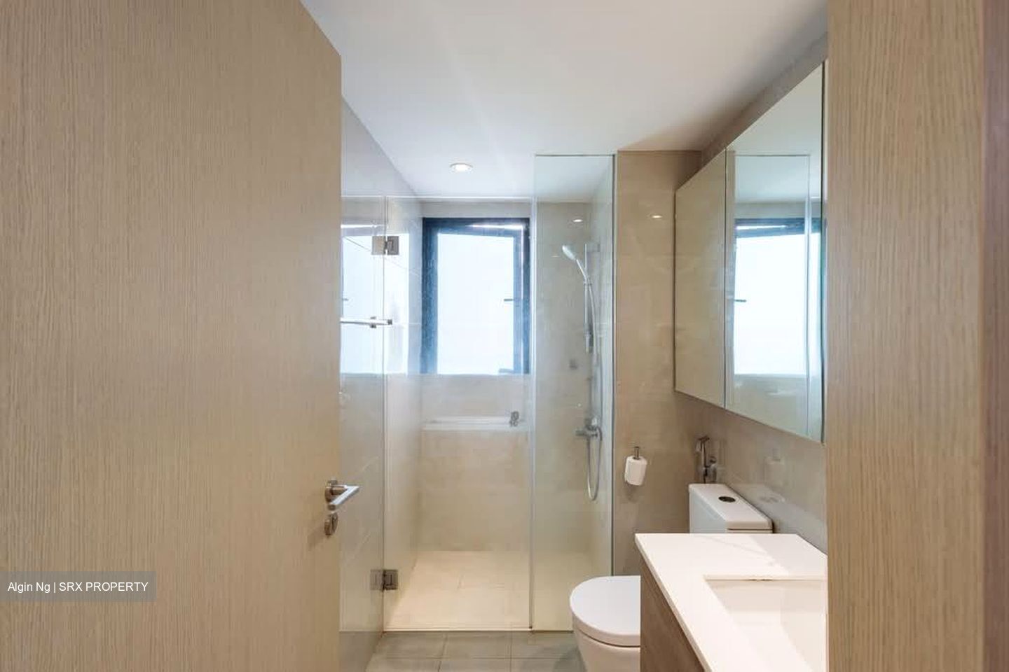 Treasure at Tampines (D18), Condominium #588153171